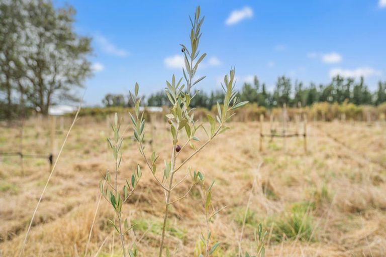 Photo of property in 78 Bruces Road, Sefton, 7477