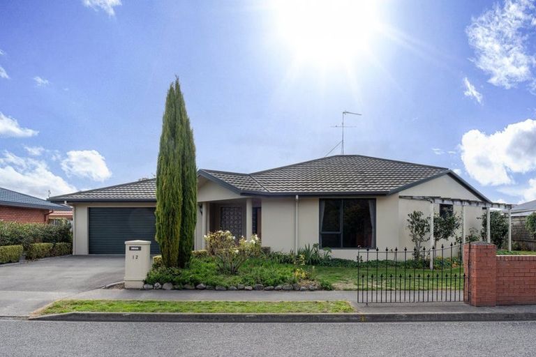 Photo of property in 12 Karina Crescent, Redwoodtown, Blenheim, 7201