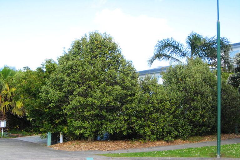 Photo of property in 29 Coral Court, Gulf Harbour, Whangaparaoa, 0930