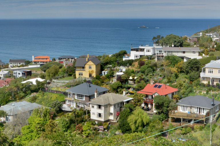 Photo of property in 115 Bedford Street, Saint Clair, Dunedin, 9012