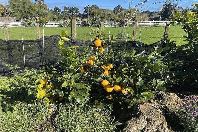 Photo of property in 96 Colville Road, Dargaville, 0310