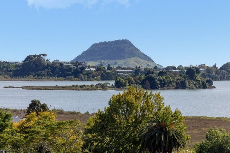 Photo of property in 51 Churchill Road, Judea, Tauranga, 3110