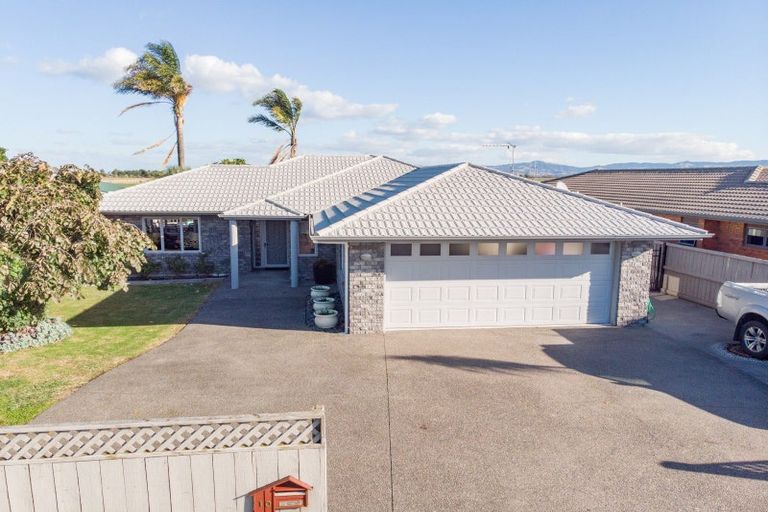 Photo of property in 10 Harris Place, Ngatea, 3503