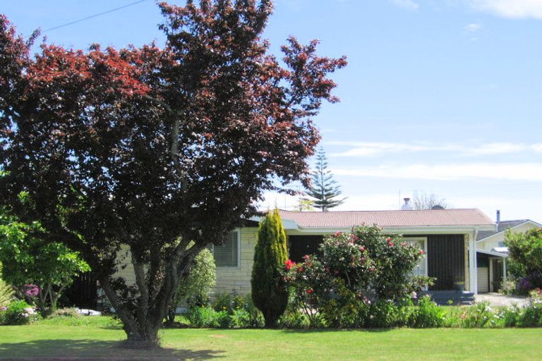 Photo of property in 16 Elsthorpe Avenue, Mangapapa, Gisborne, 4010