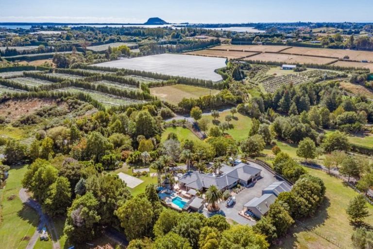 Photo of property in 73a Armstrong Road, Te Puna, Tauranga, 3174