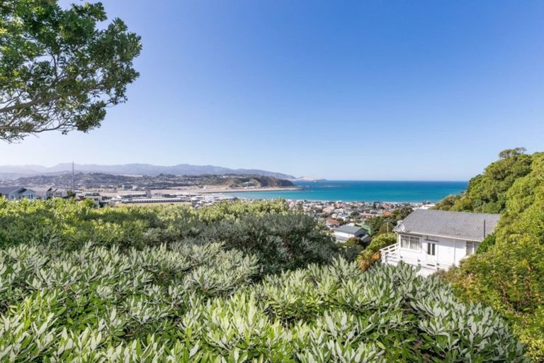 Photo of property in 55 Buckingham Street, Melrose, Wellington, 6023