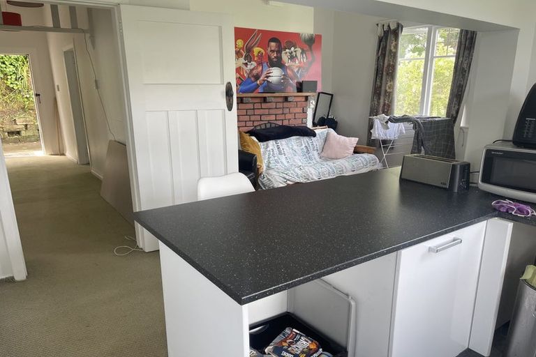 Photo of property in 22 Saint Michaels Crescent, Kelburn, Wellington, 6012