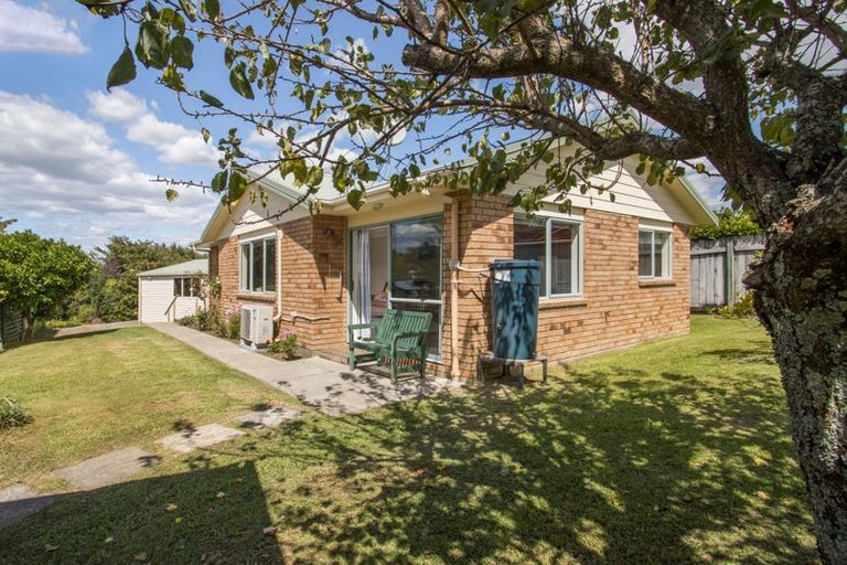 Photo of property in 17 Adams Street, Waihi, 3610