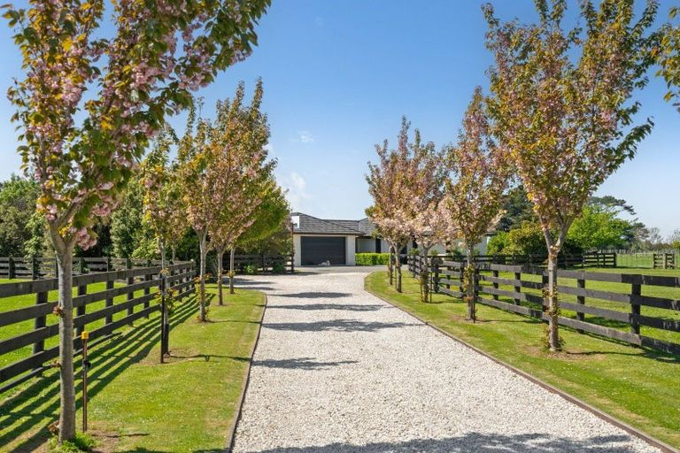 Photo of property in 546 Belvedere Road, Carrington, Carterton, 5791