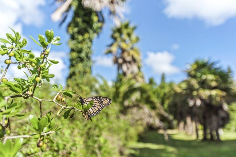 Photo of property in 6388a South Road, Pungarehu, 4685