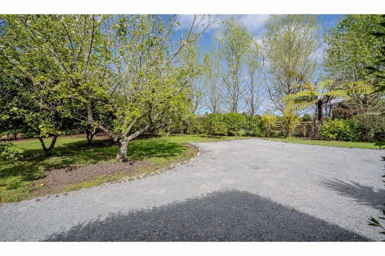 Photo of property in 305 Waipapa Road, Waipapa, 0230