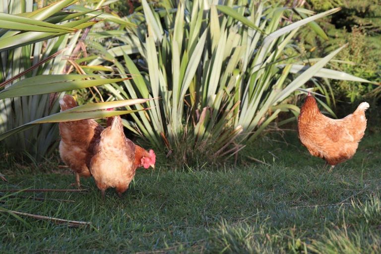 Photo of property in 23 Percy Kinsman Crescent, Riverstone Terraces, Upper Hutt, 5018