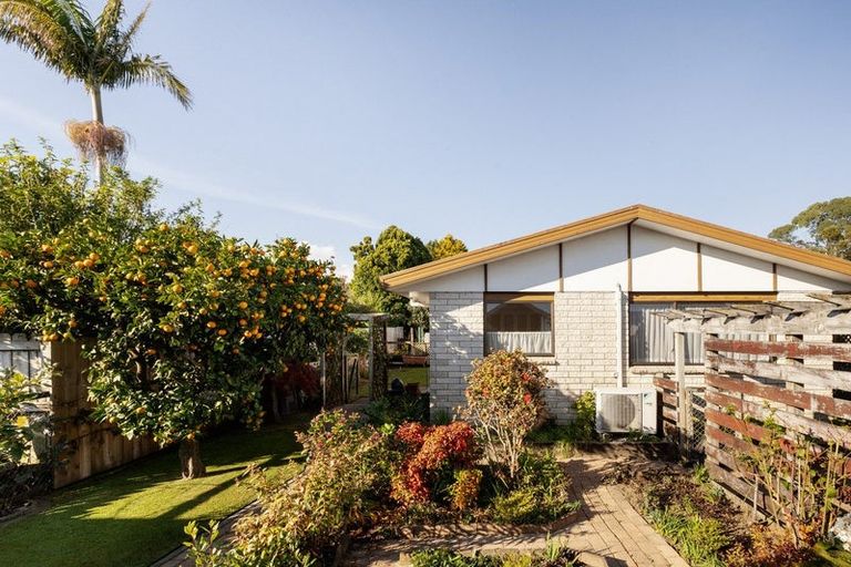 Photo of property in 10a Tutauanui Crescent, Maungatapu, Tauranga, 3112