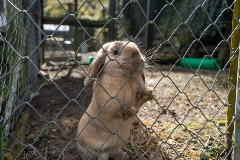 Photo of property in 18 Akatarawa Road, Brown Owl, Upper Hutt, 5018