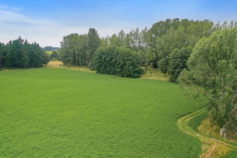 Photo of property in 206 Winchester-geraldine Road, Geraldine Flat, Geraldine, 7991