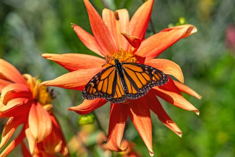 Photo of property in 1296a Akatarawa Road, Akatarawa, Upper Hutt, 5372