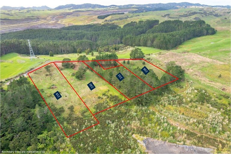 Photo of property in 218 Hangapipi Road, Rotowaro, Huntly, 3771