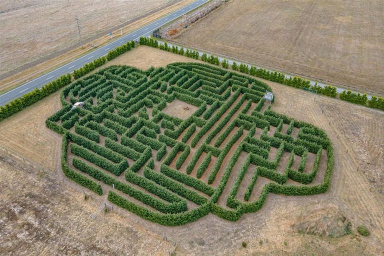 Photo of property in 1 Hayfield Terrace, Cust, Rangiora, 7471