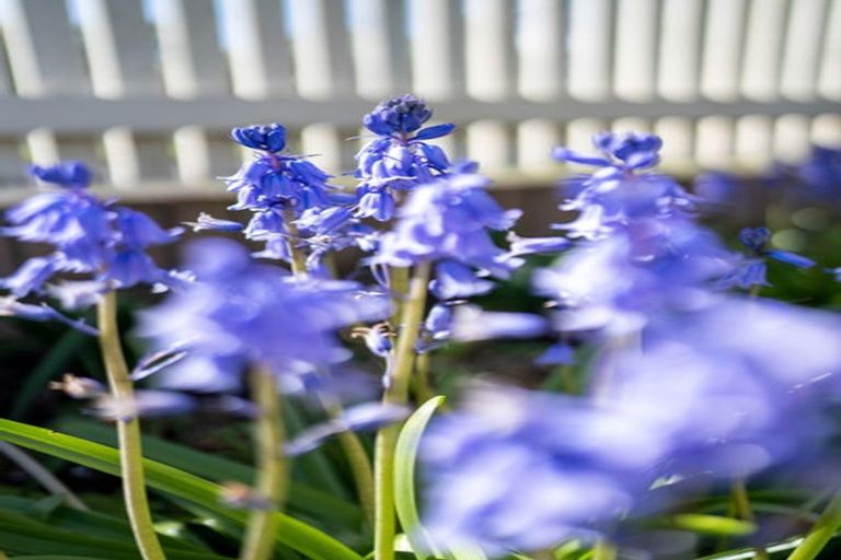 Photo of property in 26a Weld Street, Cambridge, 3434