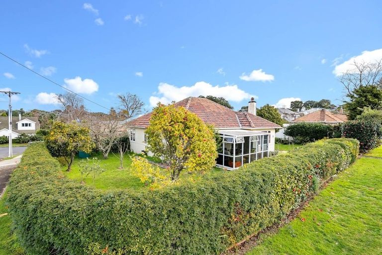 Photo of property in 44 Fernleigh Avenue, Epsom, Auckland, 1023