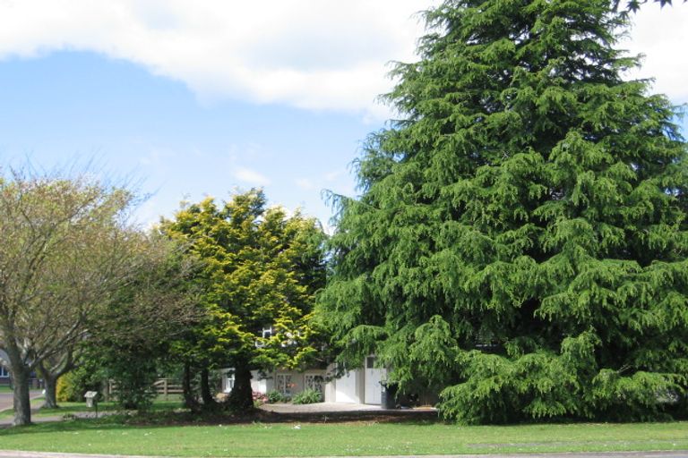 Photo of property in 74 Burwood Road, Matamata, 3400