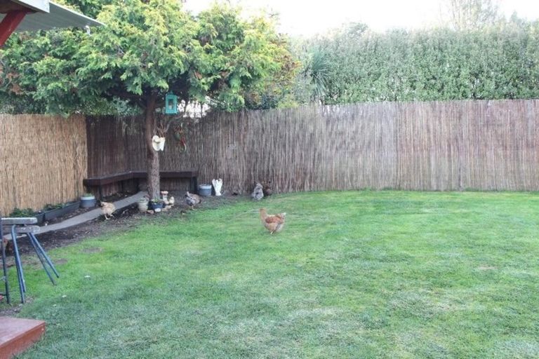 Photo of property in 19 Hassall Street, Parkside, Timaru, 7910