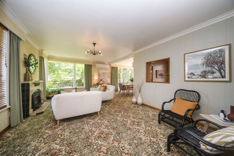 Photo of property in 41 Richmond Avenue, Takaro, Palmerston North, 4410