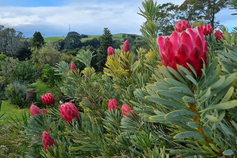 Photo of property in 28 Tuscany Place, Ohauiti, Tauranga, 3112