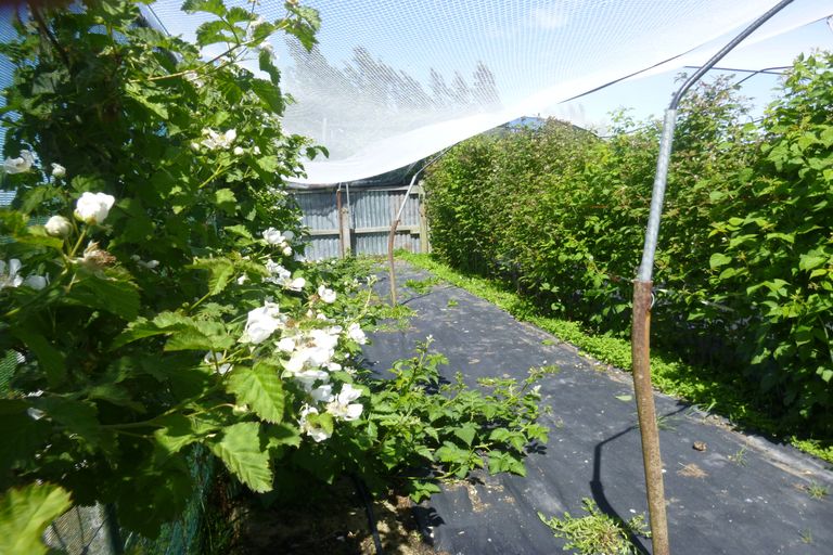 Photo of property in 7 Opuha Street East, Orari, Geraldine, 7992