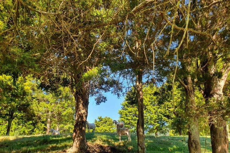 Photo of property in 660 Takou Bay Road, Kaeo, 0295