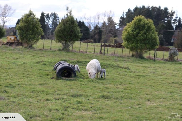 Photo of property in 33 Hammond Place, Owhango, 3989