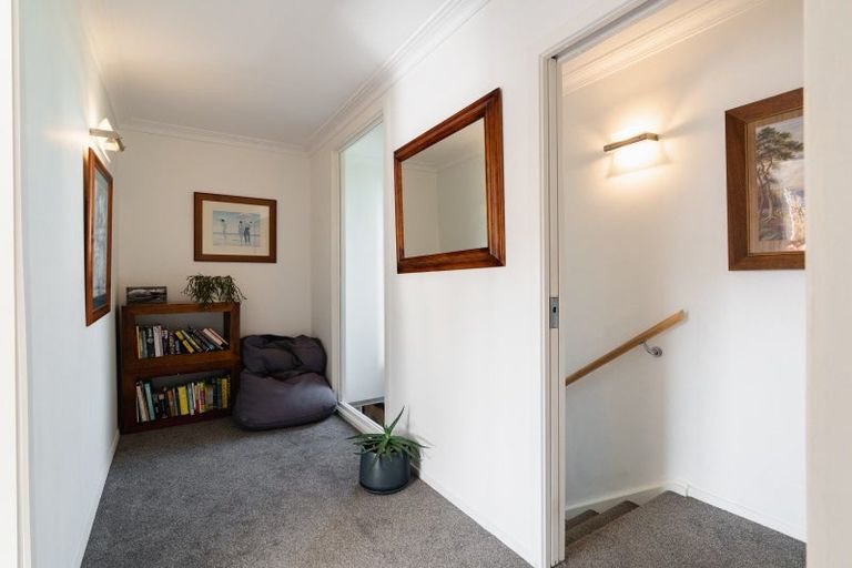 Photo of property in 36 Kilgour Street, Roslyn, Dunedin, 9010