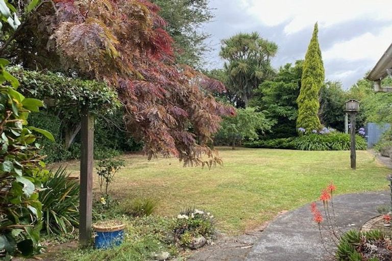 Photo of property in 19 Seddon Street, Carterton, 5713