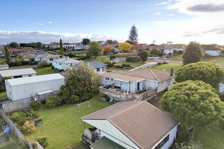 Photo of property in 151 Te Tomo Street, Te Awamutu, 3800