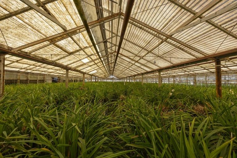 Photo of property in 123 Jesmond Road, Karaka, Drury, 2578