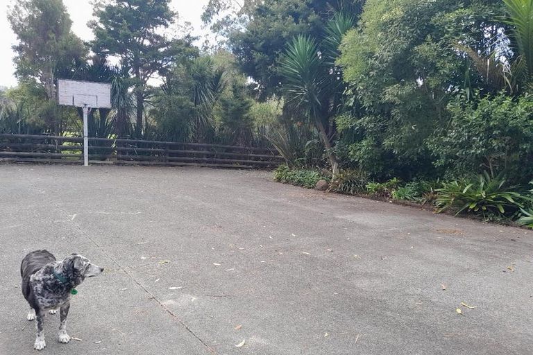 Photo of property in 189 Omaha Valley Road, Big Omaha, Warkworth, 0985