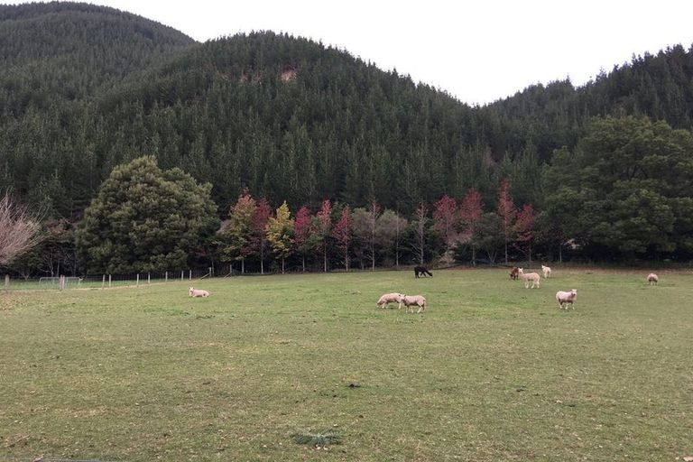 Photo of property in 69 Lee Valley Road, Wairoa Valley, Brightwater, 7091