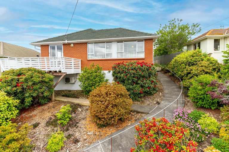 Photo of property in 101 Caldwell Street, Brockville, Dunedin, 9011