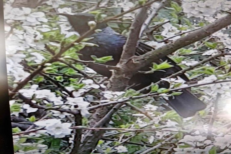 Photo of property in 39 Milne Terrace, Island Bay, Wellington, 6023