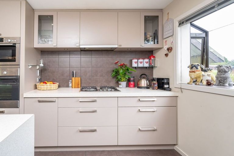 Photo of property in 46 Kinmont Crescent, Kinmont Park, Mosgiel, 9024