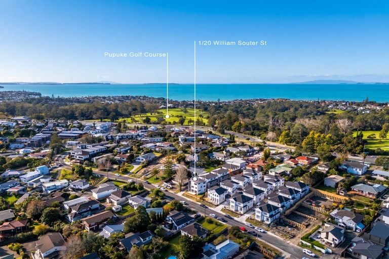 Photo of property in 1/20 William Souter Street, Forrest Hill, Auckland, 0620