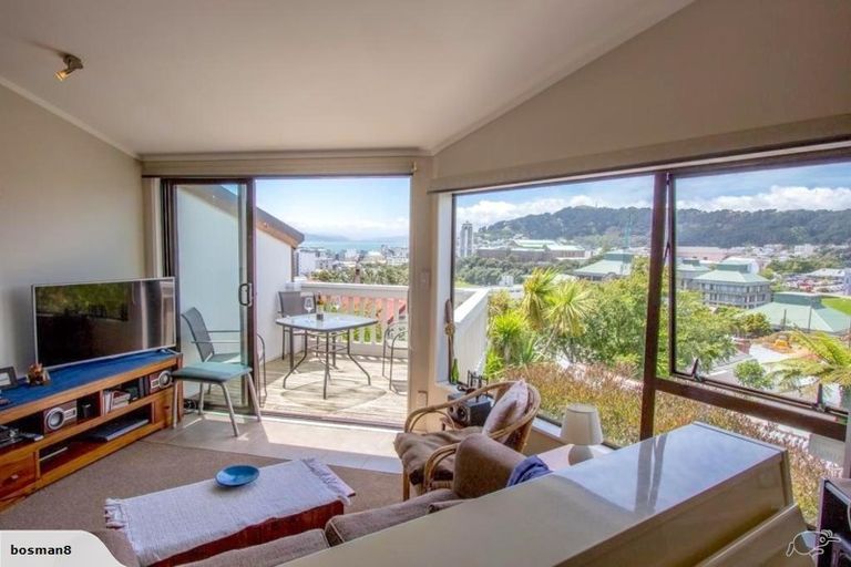 Photo of property in 53 Hankey Street, Mount Cook, Wellington, 6011