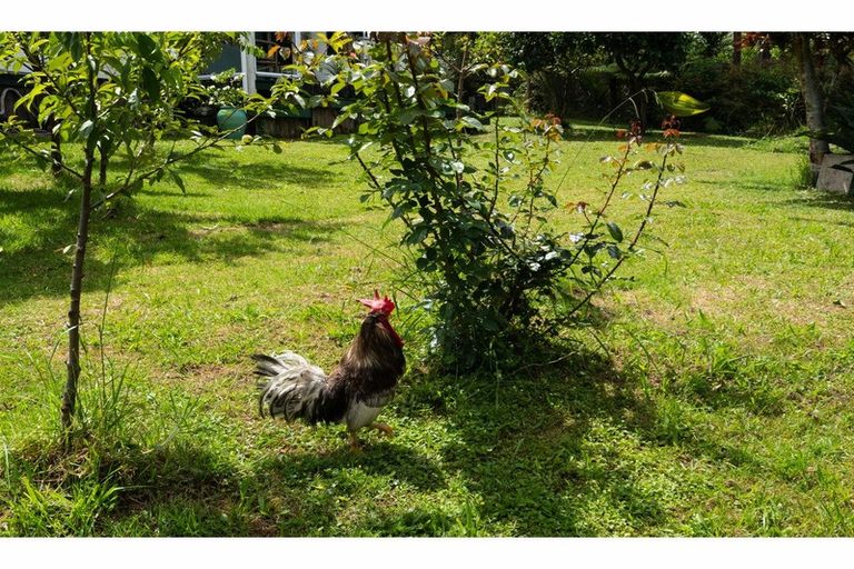 Photo of property in 131 Colwill Road, Massey, Auckland, 0614