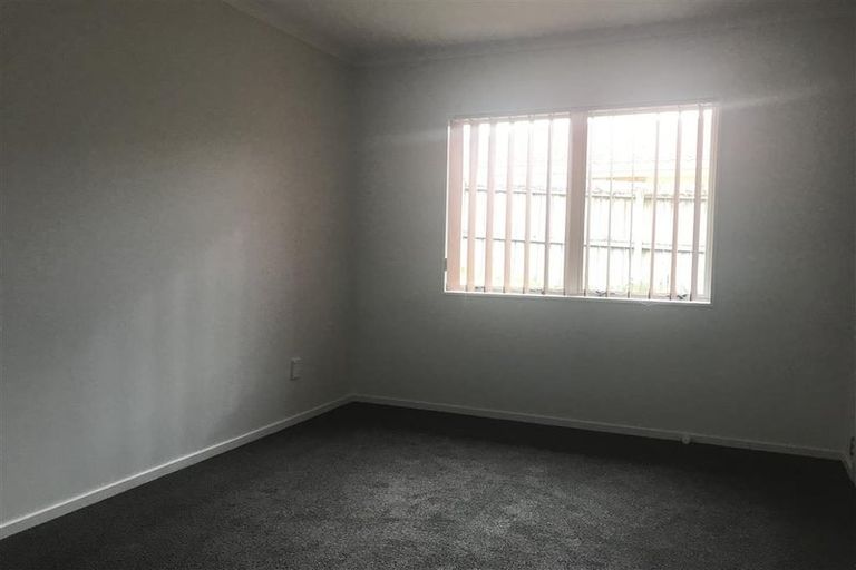 Photo of property in 117 Palmers Road, Clendon Park, Auckland, 2103