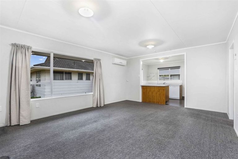 Photo of property in 58a Alison Street, Hamilton Lake, Hamilton, 3204