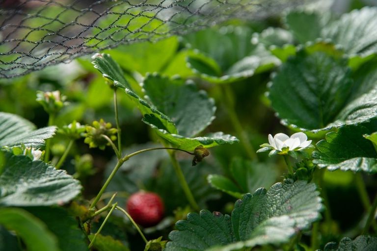 Photo of property in 58 Ames Street, Paekakariki, 5034