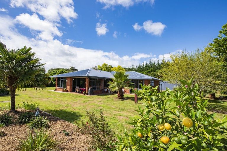 Photo of property in 420 Foxton Shannon Road, Foxton, 4893