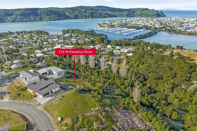 Photo of property in 113 Te Pamahue Drive, Whangamata, 3620