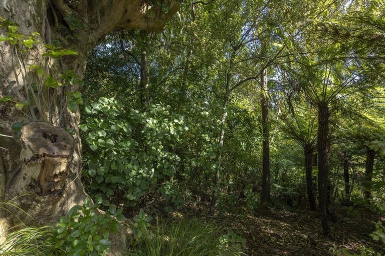 Photo of property in 17 Lewer Road, Whangaroa, Kaeo, 0478