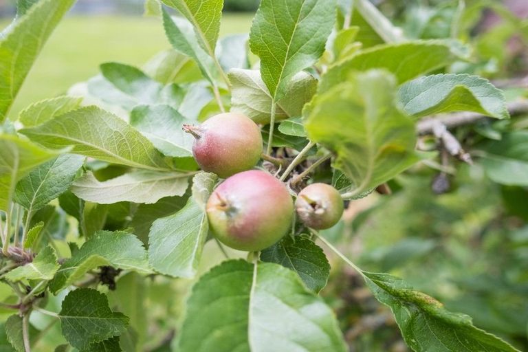 Photo of property in 52 Gladstone Road, Woodend, 7610